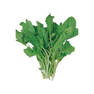 İEG Tere Tohumu 10 Gr