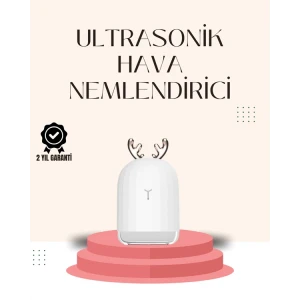 ieg™ USB Şarjlı Mini USB Nemlendirici LED Işıklı Masaüstü Cihaz