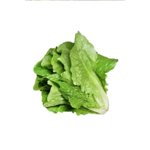 İEG Yedikule Marul Tohumu 10 Gr