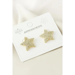 ieg™ Yıldız Taşlı Küpe