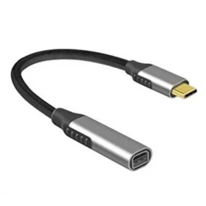 ieg™ ZR125 Type-C Mini Dp Çevirici