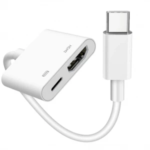 ieg™ ZR666 Pd100 Type-C To Hdmı Çevirici