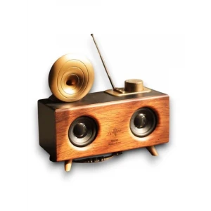 ieg™ B6 SPEAKER HOPARLÖR