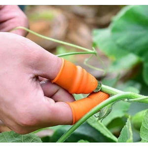 Pratik Baş Parmak Sebze Kesme Ayıklayıcı Erkek L Set (4887)