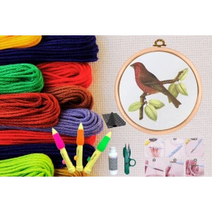 Punch Seti Nakış Seti Kasnaklı Kendin Yap Seti Seri 24