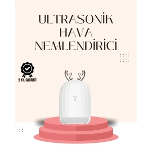 Usb Şarjlı Mini Usb Nemlendirici Led Işıklı Masaüstü Cihaz