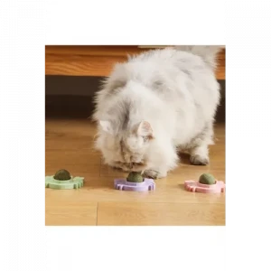 Yengeç Kedi Otu Oyun Topu