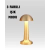 %100 Kademeli Ayarlanabilir Işık – USB Şarjlı Masa Lambası