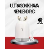 ieg™ El Tipi Usb Mini Soğuk Mist Nemlendirici 220 ml Tank