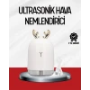 ieg™ El Tipi USB Mini Soğuk Mist Nemlendirici 220 ml Tank
