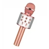 Bluetooth Karaoke Mikrofon