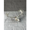 Dekoratif Geyik Başı Heykel 25 Cm Modern Minimal Tasarım