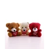 ieg ™ 3 Adet Sevimli Mini Ayıcıklar Hediyelik Anahtarlık Set