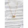 ieg™ 316L Çelik Gold Pembe Zirkon Taşlı Charmlı Kadın Kolye