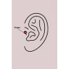 ieg™ 316L Çelik Gümüş Renk Zirkon Taşlı Kurdele Tragus Piercing