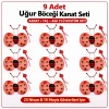 ieg™ 9’lu Uğur Böceği Kostüm Seti – Kanat Taç Asa