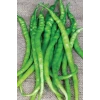 ieg™ Acı Kıl Biber Tohumu 10 Gr