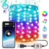 ieg™ Ally 10mt 100 Led Rgb Bluetooth Telefonla Kontrol Edilen Usb Led Lamba İos-android