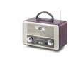 ieg™ Bluetooth Nostaljik Hoparlör Fm 23 X 12.2 X 16.4 Cm NS8098BT
