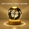 ieg™ Dekoratif Yonca Görünümlü Işıklı Kristal Cam Küre USB Masa Gece Lambası