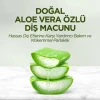 ieg™ Doğal Diş Macunu 90 Gr Aloe Vera