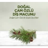 ieg™ Doğal Diş Macunu 90 Gr Çam Özlü