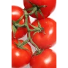 İEG Domates Tohumu Falcon 5 Gr