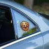 ieg™ Fulcar Golden Araç Stickerı