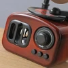 ieg™ Gramofon Müzik Kutusu