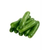 ieg™ Hıyar Tohumu 20 Gr