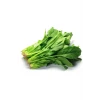 ieg™ Ispanak Tohumu 25 Gr