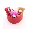 ieg ™ Kalp Kutuda 4 Adet Mini Ayıcık Hediye Kutusu Set