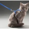 ieg™ Kedi Tasması