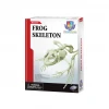 ieg™ Kurbağa İskeleti Bilim Seti
