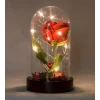 ieg ™ Led Işıklı Fanus İçinde Kırmızı Yapay Gül