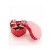 ieg ™ Özel Kalp Kutu İçinde 2 Adet Noel Baba  Kar Küresi 6,5 cm ve Kuru Gül