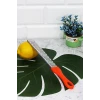 ieg™ Peynir Rendesi - Limon - Portakal - Turunç Rendesi