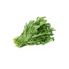ieg™ Roka Tohumu 10 Gr