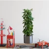ieg™ Saksılı Bitki Tasarımlı Yapışkanlı Sticker Resim