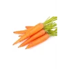 ieg™ Sarı Havuç Tohumu 10 Gr