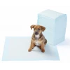 ieg™ Yıkanabilir Köpek Çiş Pedi - 100 X 100 Cm