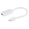 ieg™ ZR138 Mini Dp Hdmı Çevirici Kablo 30 Cm