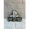 ieg™ PS5 LOGO