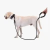 Köpekler İçin Reflektörlü Halat Gezdirme Tasması