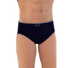 LACİVERT    2109 Erkek Slip