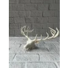 odern Geyik Başı Biblo 25 cm Zarif Masa Üstü Dekor
