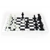 Okullara Özel Satranç Takımı (4887)