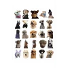 Sevimli Köpek Çıkartmaları Laptop Notebook Tablet Sticker Seti