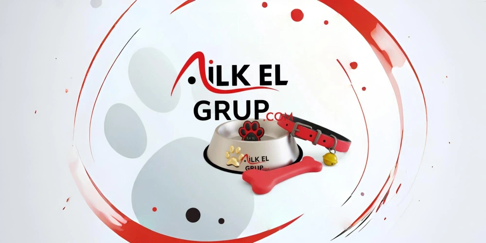 Petshop Ürünlerinde En Çok Satan 5 Kategori