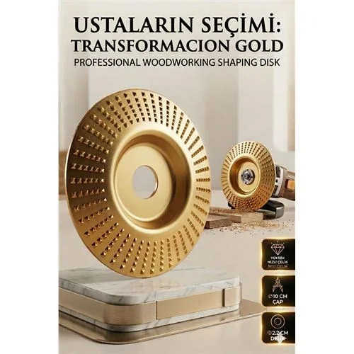 Oval Tip Bombeli Ahşap Törpü Diski 100mm | Tungsten Karbür 723063
